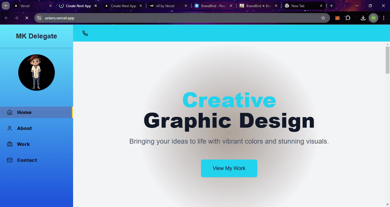 graphic designer portfolio